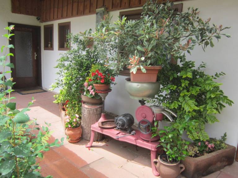 foto29