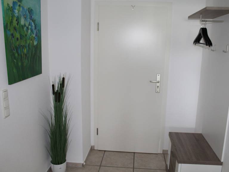 foto6