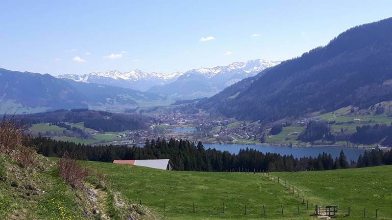 foto6