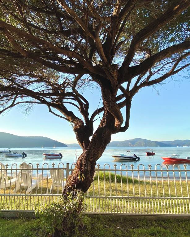 House Dangar Island
