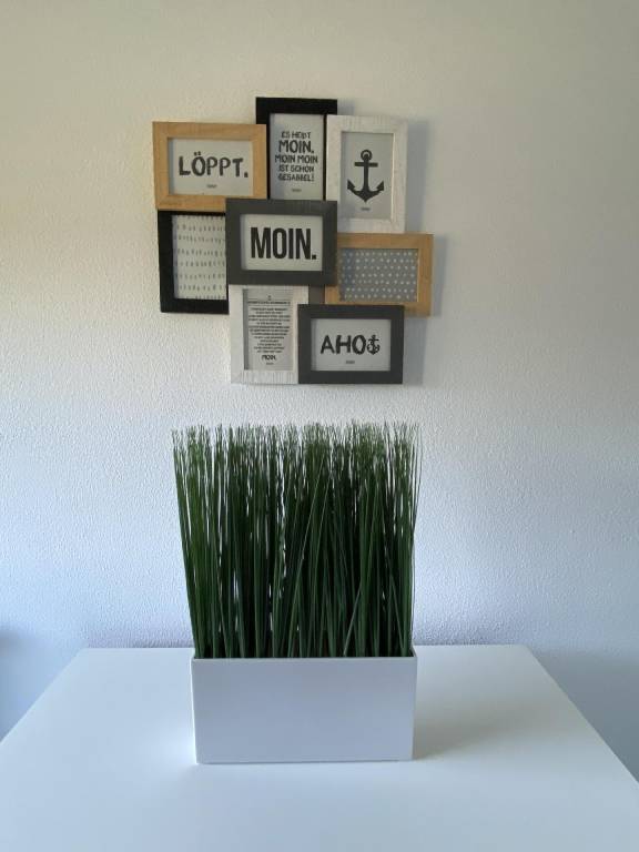 foto28