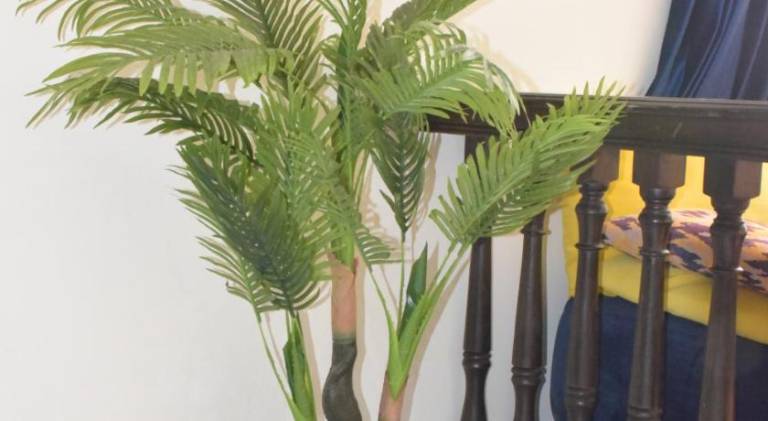Rental apartment | Pets are welcome in Rabat