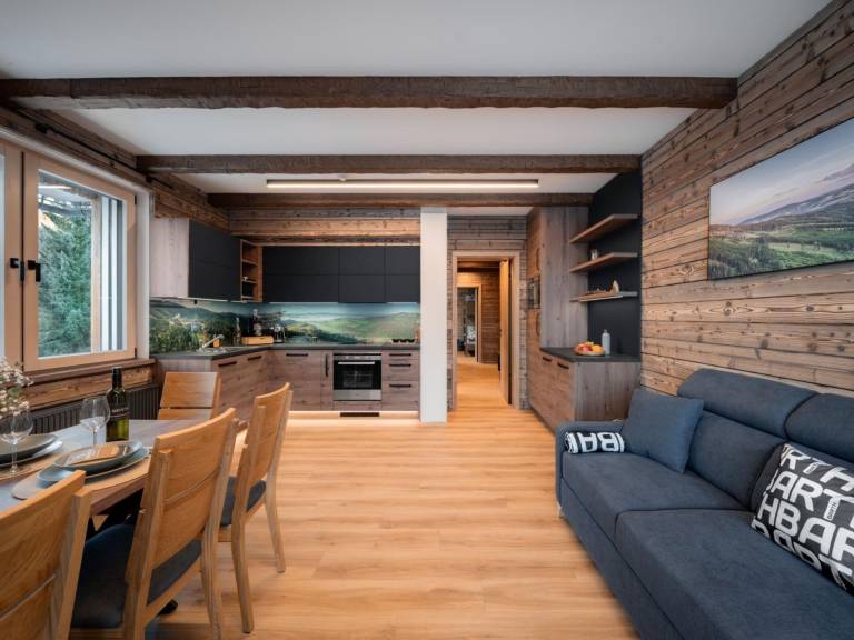Apartament Dolní Morava