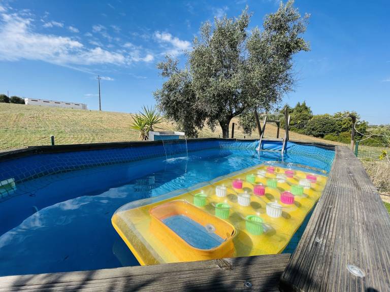 Chalet Vale de Figueira