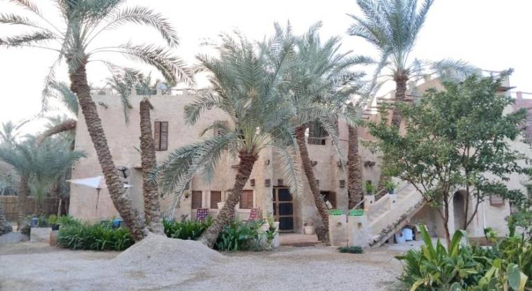 Paloma Wooden House ! — photo 3