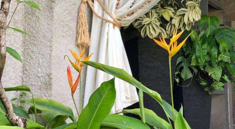 foto47