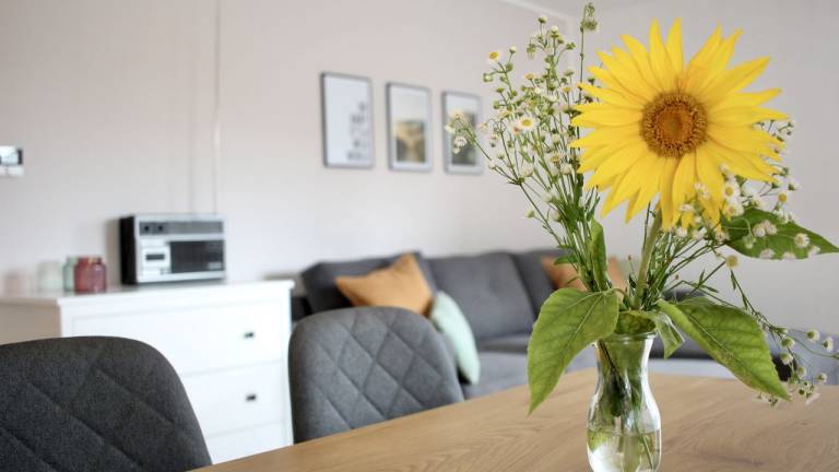 Ferienwohnung Kenzingen