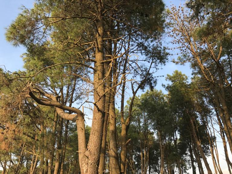 foto28