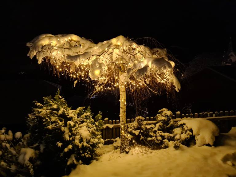 foto31