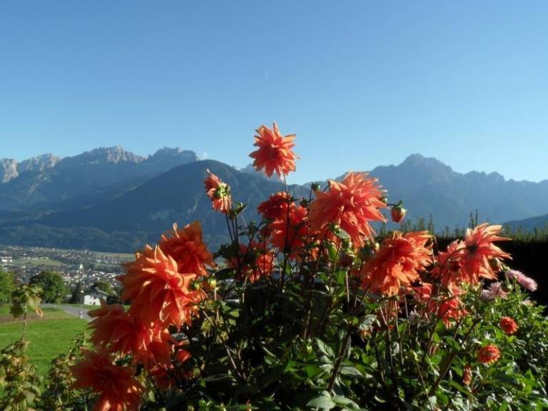 foto12