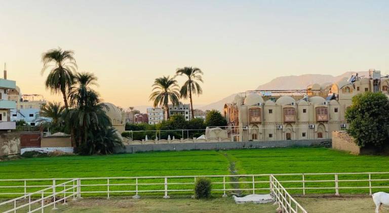 Holiday apartment with 2 rooms for 4 persons in Luxor