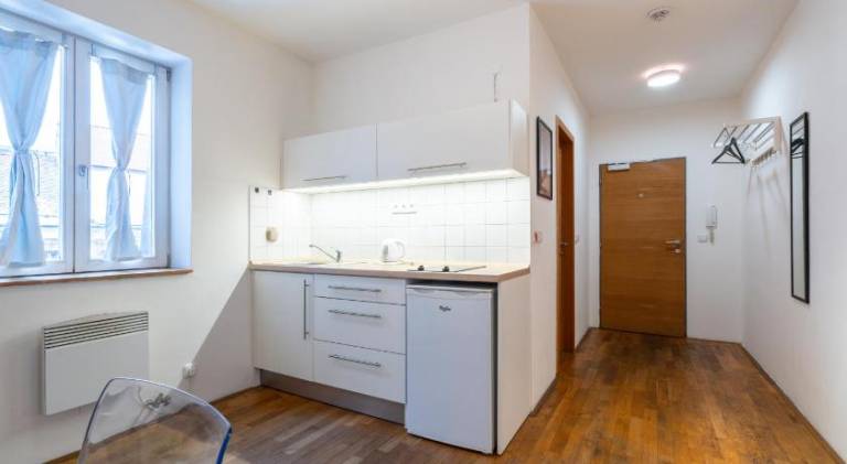Mitte Apartments — photo 4