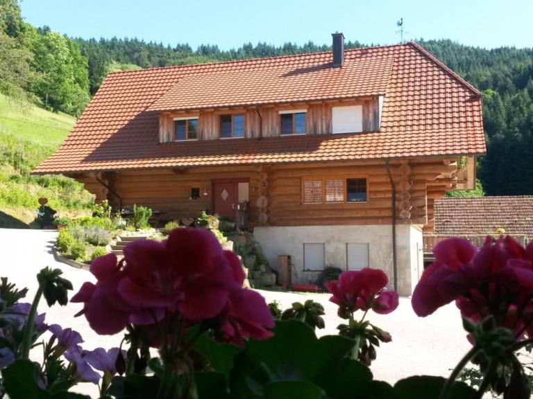 foto16