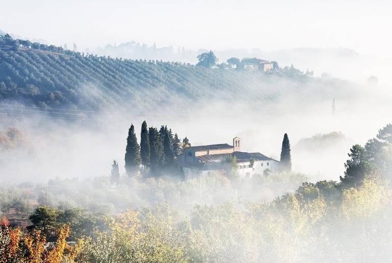 Podere la Casellina - un vero agriturismo familiare: Camera matrimoniale con colazione — photo 5