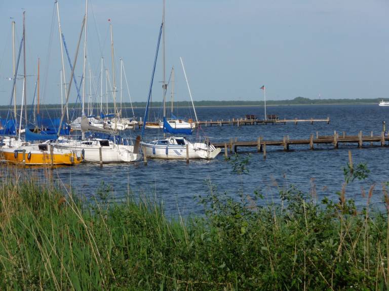 foto16