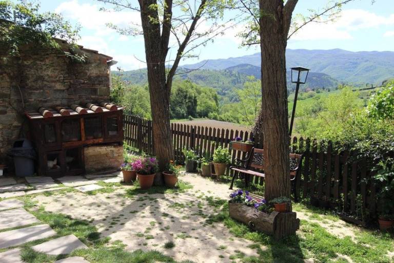 foto11