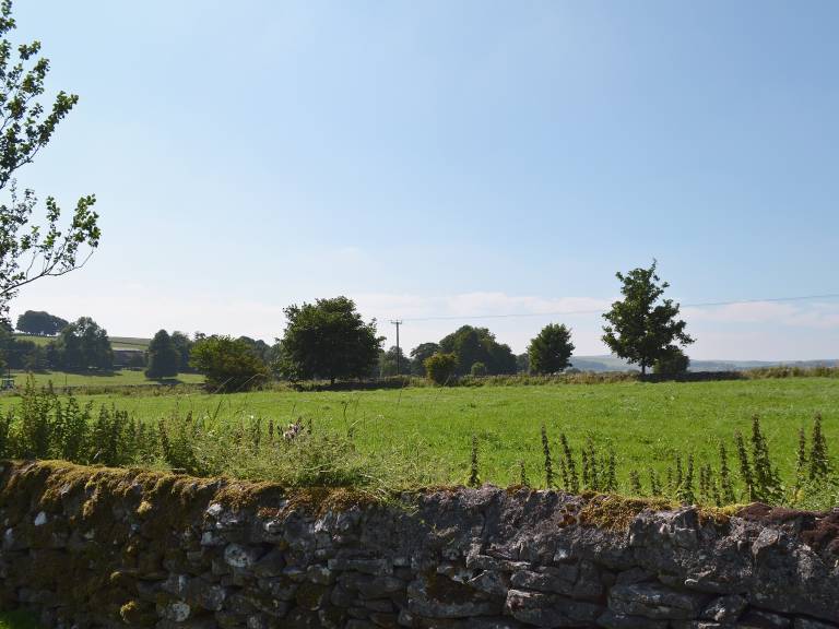 foto11