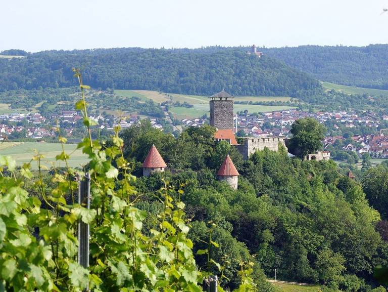 Apartment  Backnang