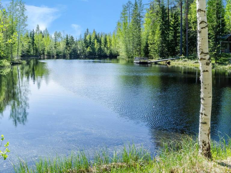 Beautiful vacation home with sauna & patio | Nature view | Dogs allowed — photo 4