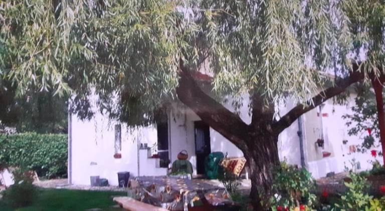 Peti kaz — photo 5
