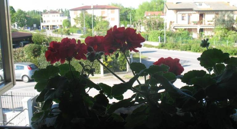 foto31