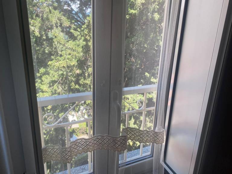 Private room with patio, fast internet & yard | Garden view | Perfect for remote work | Dogs allowed — photo 3