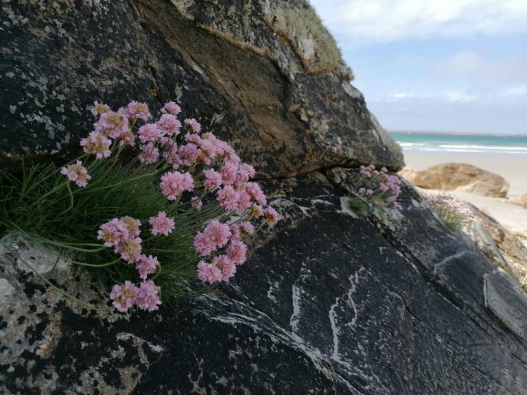 foto22