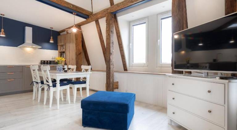 Pleasant rental apartment | Dogs allowed in Torun