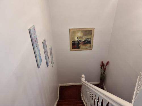 foto7