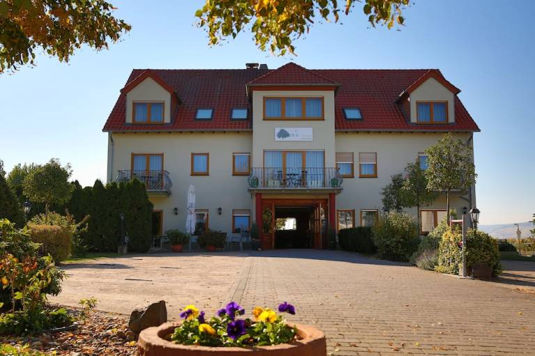 foto11