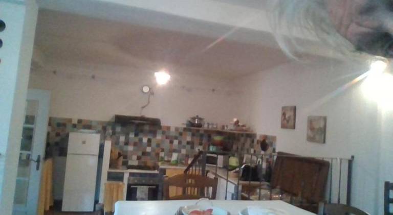 Il cotogno — photo 3