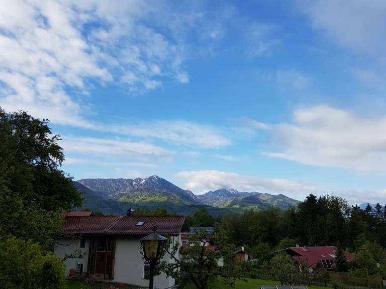 foto12