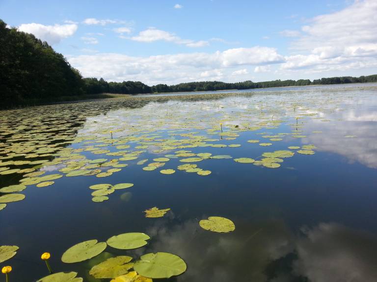 Ferienwohnung Schwarzer See