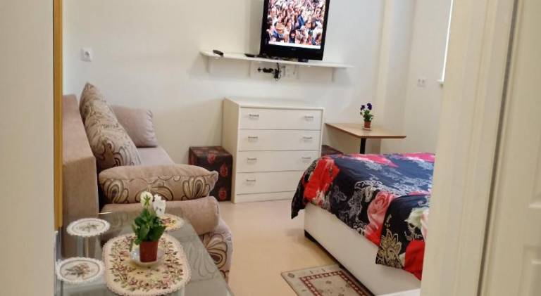 Rental apartment with patio | Pets are welcome in Kaunas