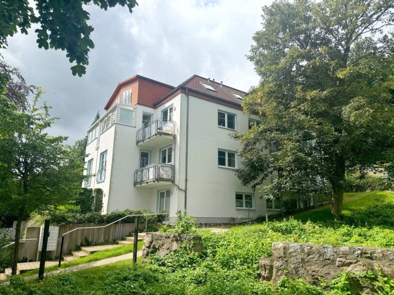 foto1
