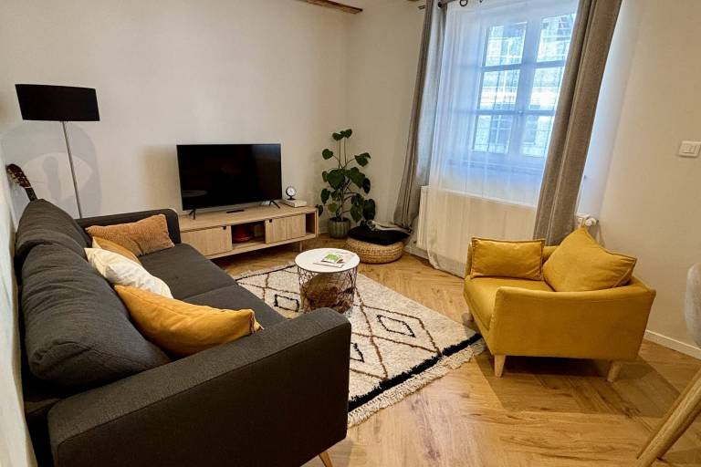 Appartement Vendenheim