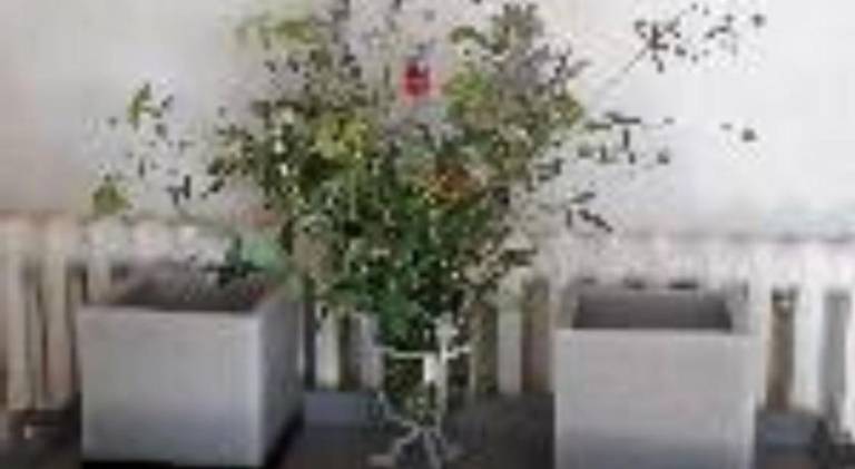 foto18
