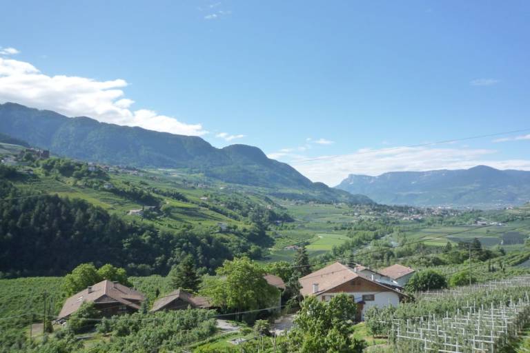 foto21