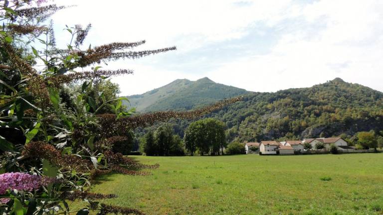 foto21