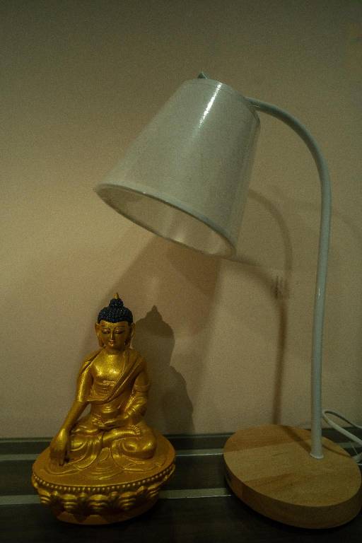 foto41