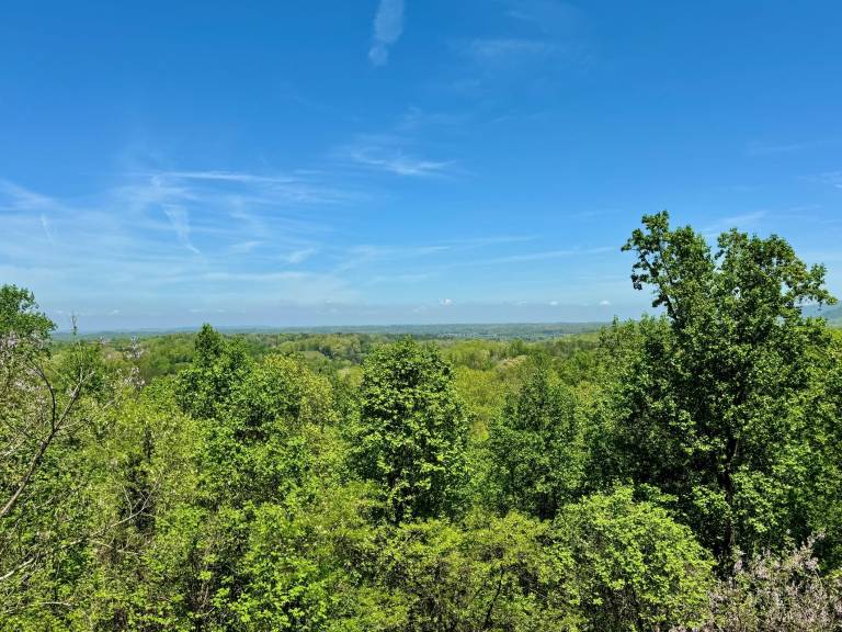 Child-friendly pleasant cabin with hot tub, BBQ & heated pool | Mountain view | Dogs allowed — photo 4