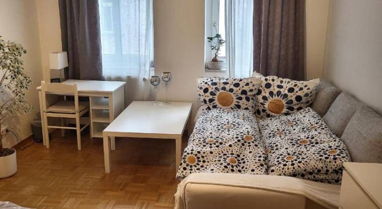 Großzugiges City Zimmer in Top-Lage direkt von Privat — photo 2