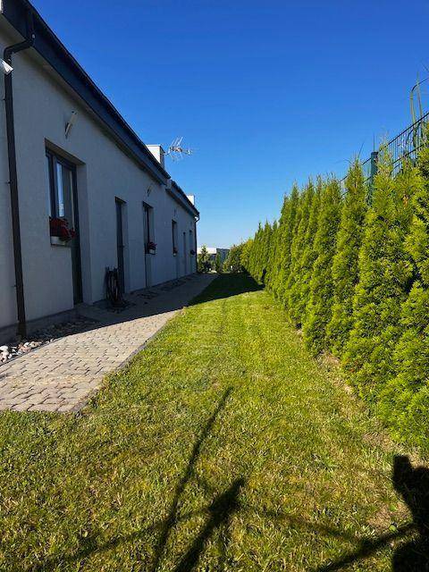foto46