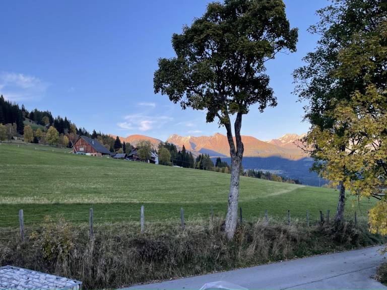 foto28