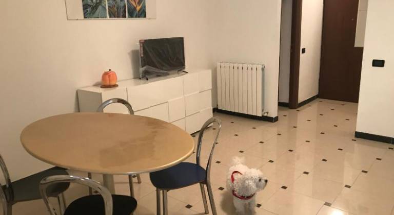 Rental apartment with 1 room for 4 persons in Arenzano