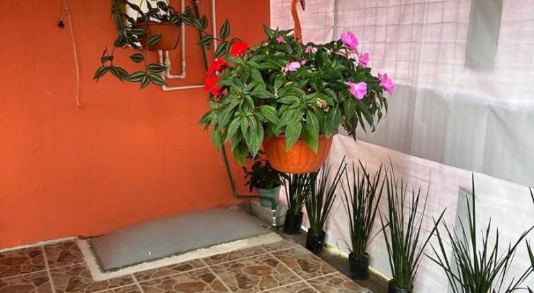 Apartment with terrace — photo 4