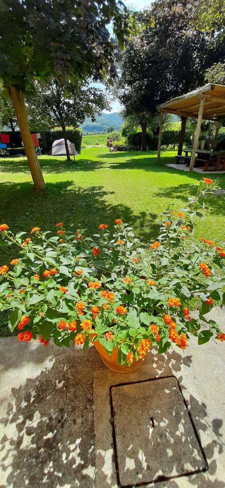 foto17