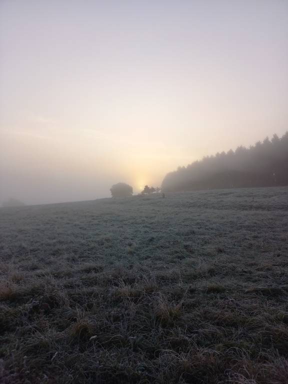 foto17