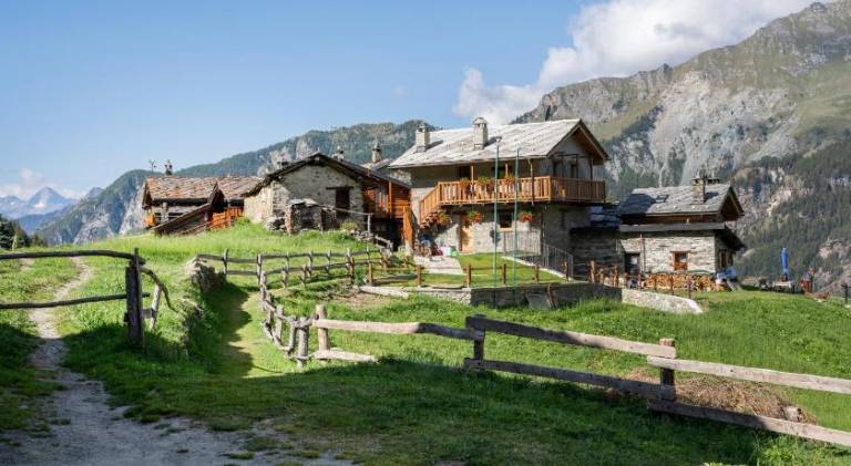 Rental apartment with yard & barbecue | Pets are welcome in Valtournenche