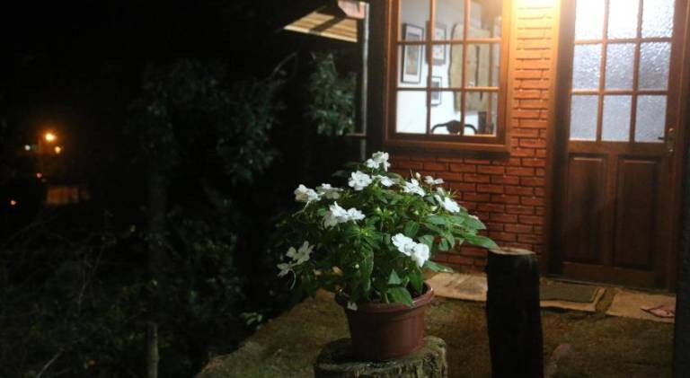 foto46